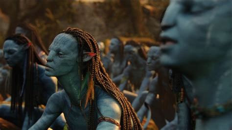 Pin By Olivia Rabishaw On Avatar Avatar Movie Avatar Films Avatar