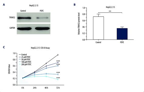 Nf Kb Inhibitor Suppressed Trim52 Expression And Then Reduced Download Scientific Diagram