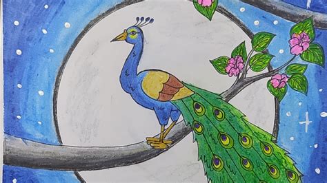 How To Draw A Peacock Drawing Easy Step By Step With Oil Pastel Colour