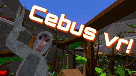 Playing Cebus Vr Youtube