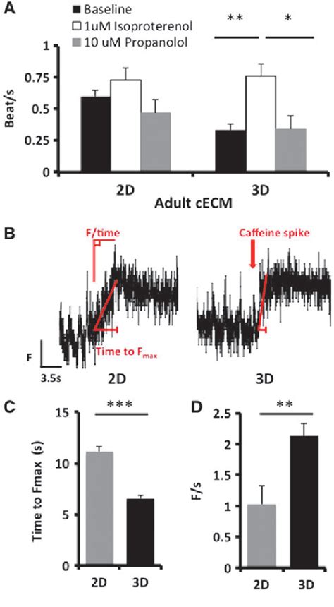 Figure 5 From Three Dimensional Adult Cardiac Extracellular Matrix