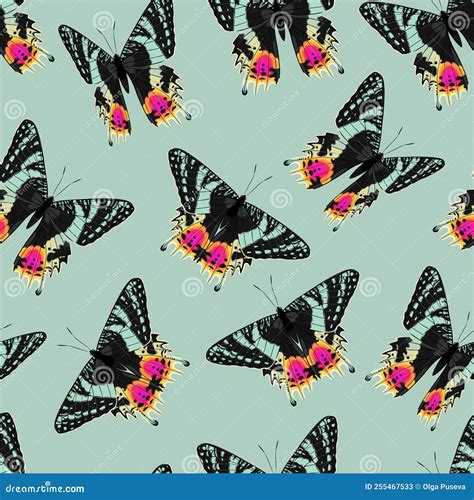 Vector Pattern With High Detailed Tropic Butterfly Stock Vector