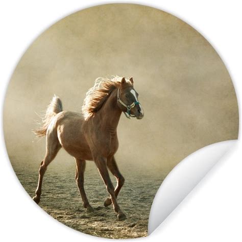 Wallcircle Muurstickers Behangcirkel Paard Zand Mist