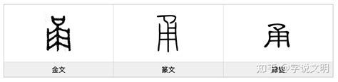 甬——每日一字·用部字 知乎