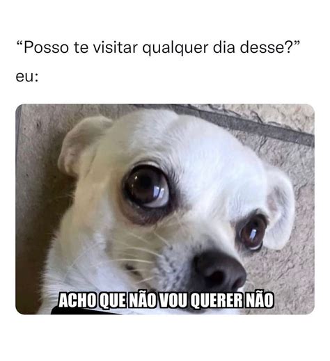 Eu Todo Dia Quando O Alarme Toca E Se Eu Ignorar Minhas