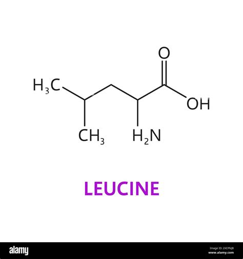 Formule Chimique De La Leucine Banque D Images D Tour Es Alamy