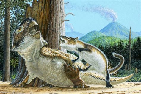 Amazing Fossil Hints Mammals Hunted Dinosaurs Three Times Their Size New Scientist