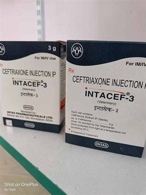 Monocef Ceftriaxone Injection Gm At Rs Vial In Miraj Id