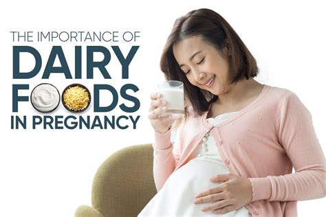 Essential Dairy Foods For A Healthy Pregnancy Plusplus Lifesciences