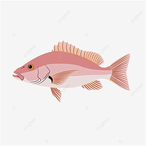 Cartoon Hand Painted Design Elements Fin Fish Free Cutout Cute