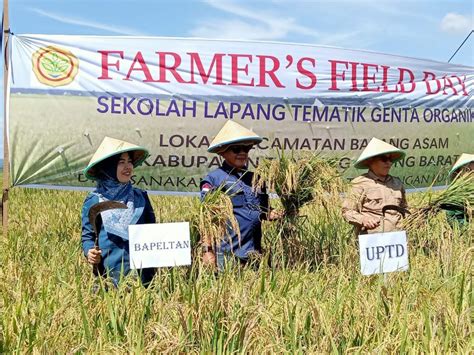 Upt Kementan Hadiri Farm Field Day Puncak Kegiatan Sekolah Lapang