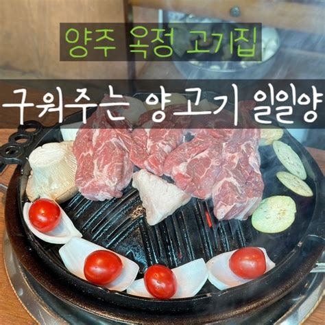 옥정 양고기 양갈비 맛집 구워주는 고기집 일일양 양주옥정점 네이버 블로그