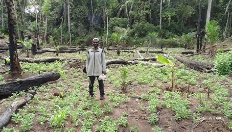 Africa Climate Week How Sustainable Farming Transforms Life In Drc African Wildlife Foundation