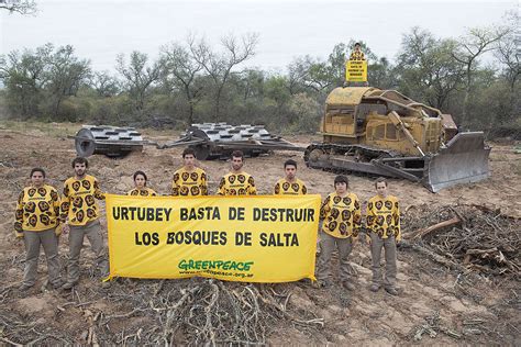 Fundación Greenpeace Argentina Día Mundial De La Ecología Así