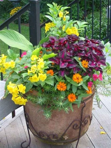 Fresh And Easy Summer Container Garden Flowers Ideas Container