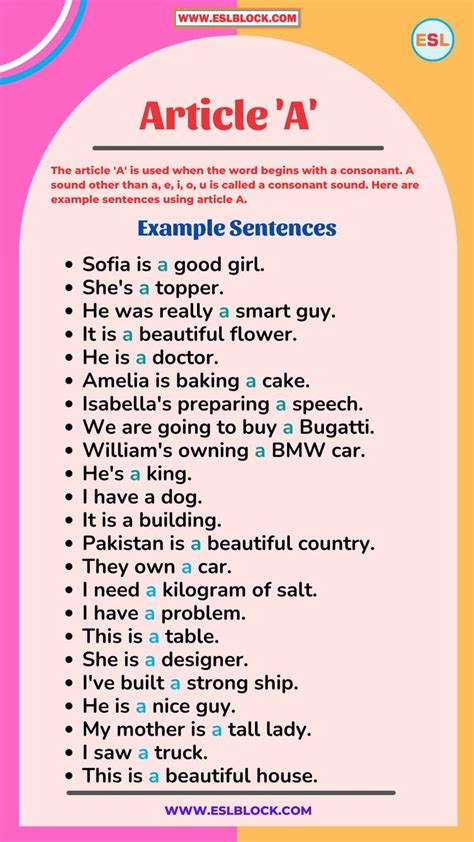 100 Example Sentences Using Articles A An The | Learn english words ...