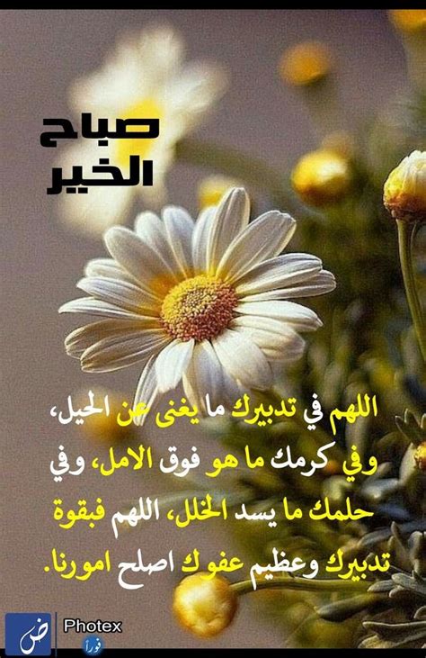 Pin by Ahmedum on دعاء Good morning arabic Morning pictures Ramadan