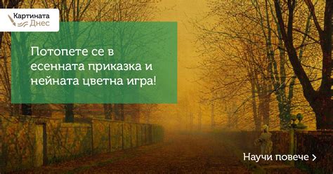 Vremetodnes.bg - Картината днес – есенни цветове
