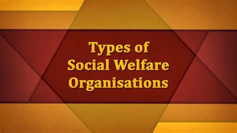 Types Of Social Welfare Organisations Youtube