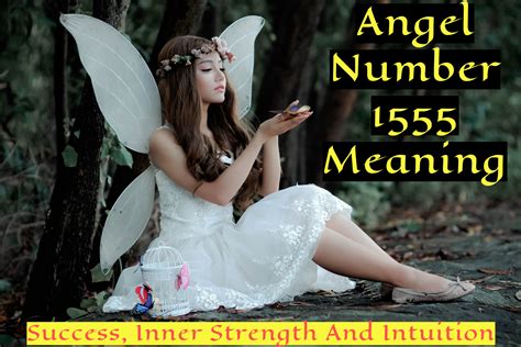 Angel Number 1555 Meaning Indicates Emotional Freedom