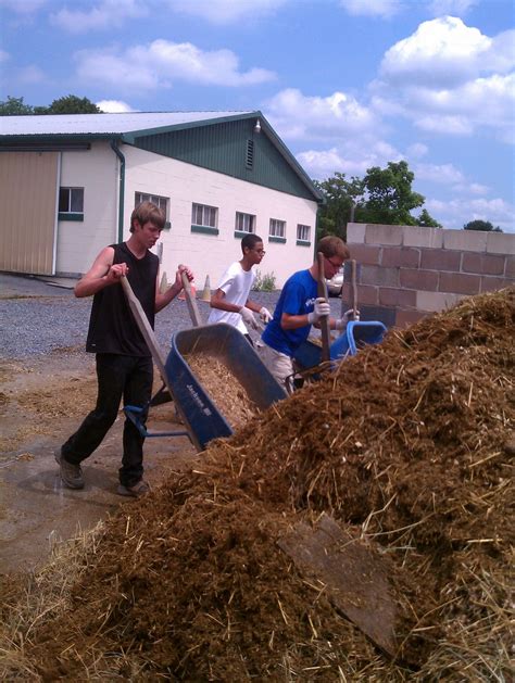 Mucking Out Your Horses Stall