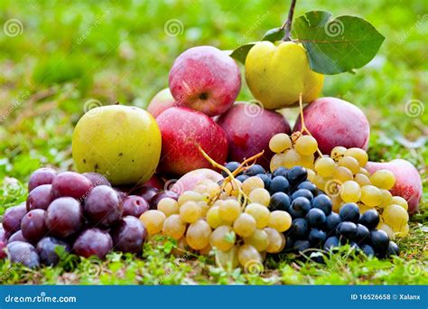 Bunch Of Fruits Outdoor Royalty Free Stock Photos Image 16526658