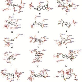 Graphical Representation Of The Molecular Interactions Of The Leading