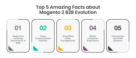 Top Magento Extensions For B B To Enhanced Cx In