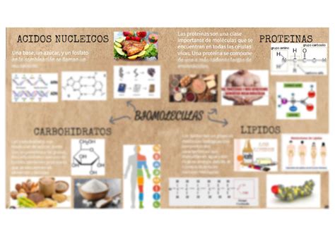 Arriba Imagen Mapa Mental De Biomol Culas Abzlocal Mx