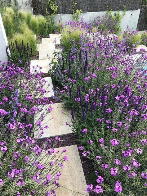 Landscape Architect Visit Clamshell Alley On The Coast Of Maine Artofit