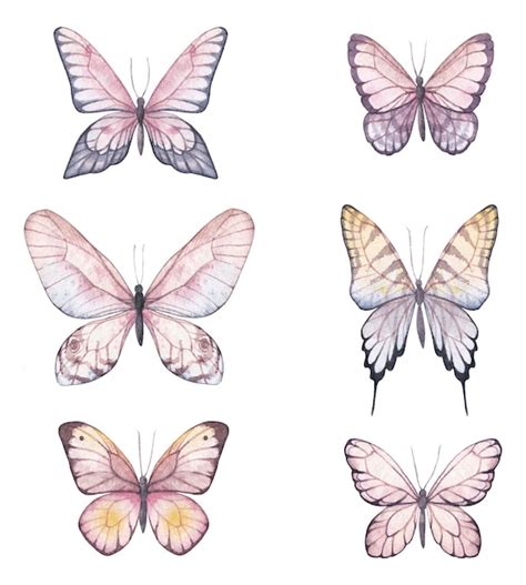 Premium Vector Watercolor Butterflies Set Hand Drawn Pink Butterfly