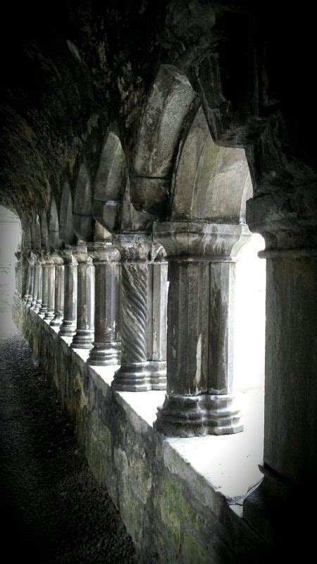 Sligo Abbey. A Dominican Friary, founded in the mid 13th century