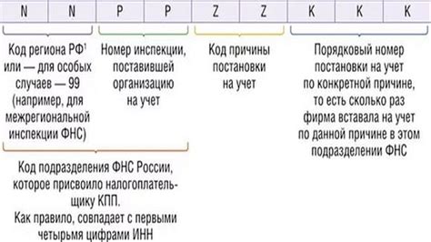 Узнать КПП по ИНН организации, ИП, фирмы онлайн – пошаговая инструкция