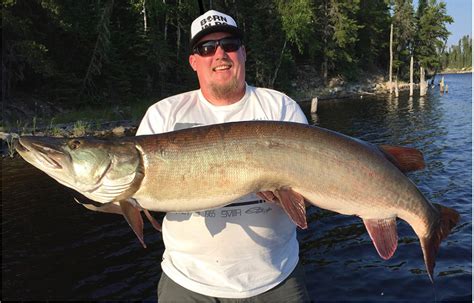 Dwr Wants To Grow Trophy Sized Muskie In Jordanelle Reservoir Kpcw