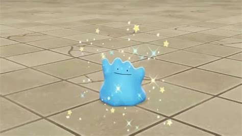 Pokemon Scarlet And Violet Players Share Tips To Catch Shiny Ditto Multiple Times A Day Charlie