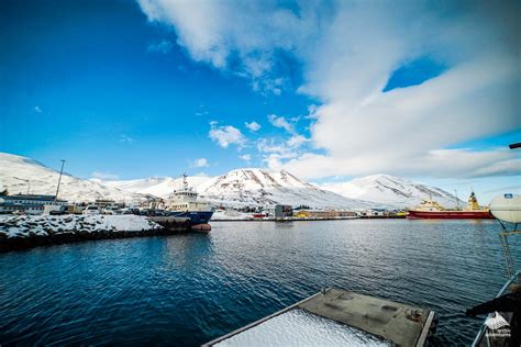 Dalvik in the North of Iceland | Arctic Adventures