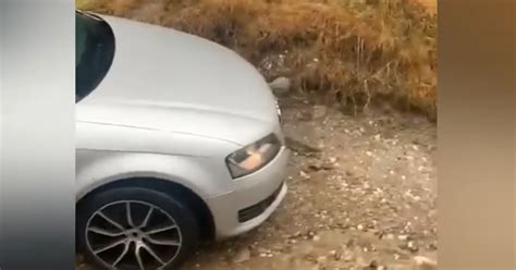 Un tânăr aflat la volanul unui Audi a fost luat de ape după ce a