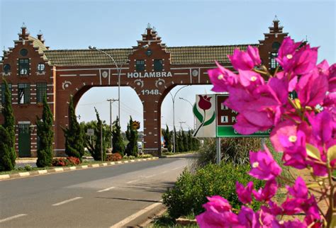 Floricultura Como Funciona O Cultivo De Flores No Brasil Pegorari