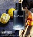 Dior Sauvage For Men 100 Ml Edt Daraz Pk