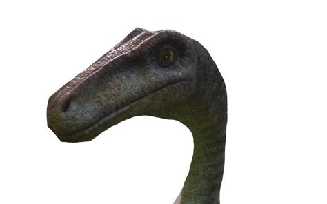 Gallimimus by DracoAwesomeness on DeviantArt