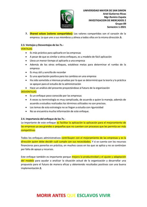 Las S De Mckinsey Pdf