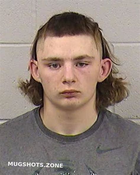 Sosebee Kyler Thomas Dickinson County Mugshots Zone