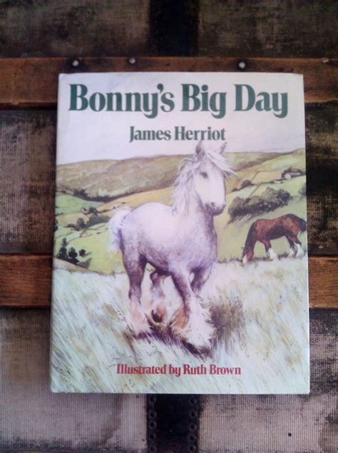 Bonnys Big Day Horse Book James Herriot Etsy