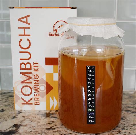 Bucha Brewers Kombucha Starter Kit With Everything You Need To Brew