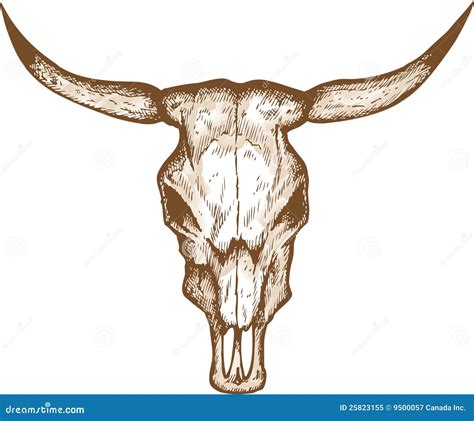 Free Clipart Bull Head