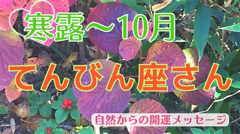 【月の引き寄せ🌕】寒露から立冬🍁10月のてんびん座さん♎️愛と豊かさが至るところに満ちる Youtube