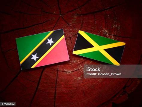 Saint Kitts I Nevis Flagi Z Jamajskiej Flagi Na Pniu Drzewa Izolowane Zdjęcia Stockowe I