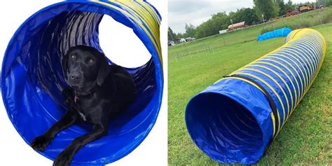 5 Best Dog Agility Tunnels to Get Your Pup Moving!