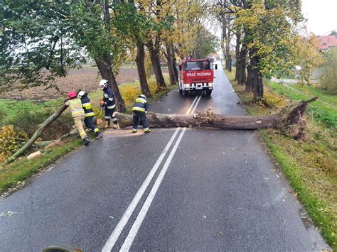 Jesienna wichura w powiecie puckim październik 2021 Połamane drzewa