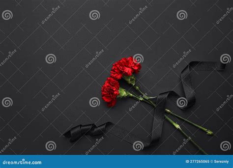 Black Funeral Ribbon with Carnation Flowers on Dark Background Stock ...